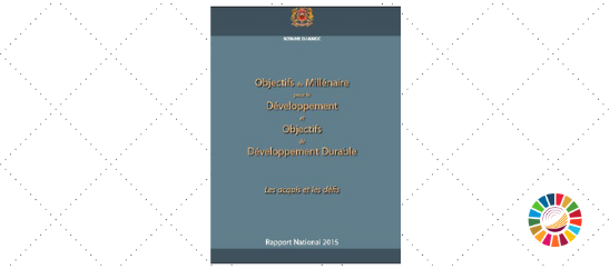 Rapport National 2015 OMD Maroc
